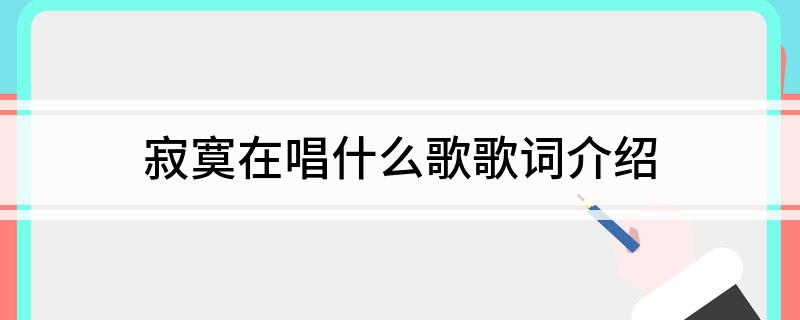 寂寞在唱什么歌歌词介绍
