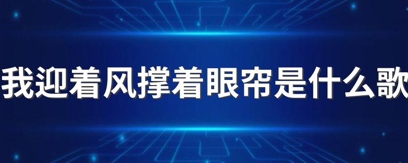 这首歌的歌词_我迎着风撑着眼帘是什么歌