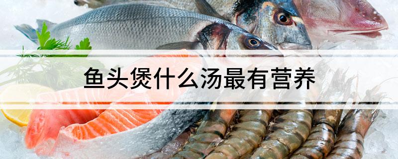 鱼头煲什么汤最有营养