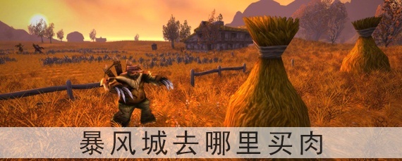 魔兽世界怀旧服暴风城去哪里买肉(暴风城哪能买到肉)