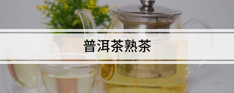 普洱茶熟茶