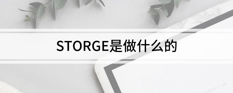STORGE是做什么的