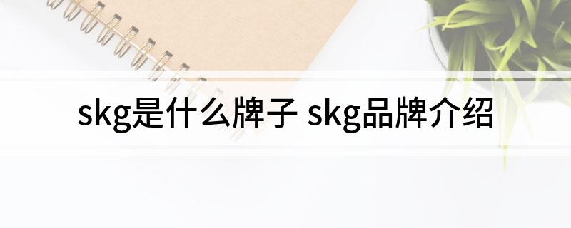 skg是什么牌子(skg品牌介绍)