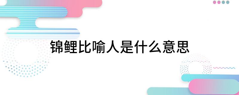 锦鲤比喻人是什么意思