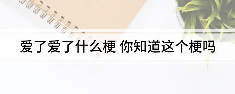 爱了爱了什么梗(你知道这个梗吗)