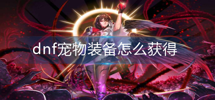 dnf宠物装备怎么获得(宠物装备获得攻略)