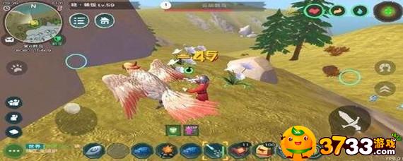 创造与魔法云斑鹦鸟位置必刷点在哪(云斑鹦鸟位置大全)