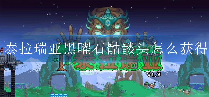 泰拉瑞亚黑曜石骷髅头怎么获得(黑曜石骷髅头获取方法)