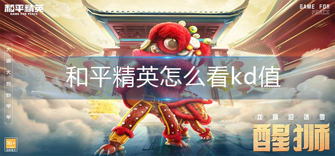 和平精英怎么看kd值-kd值查看方法