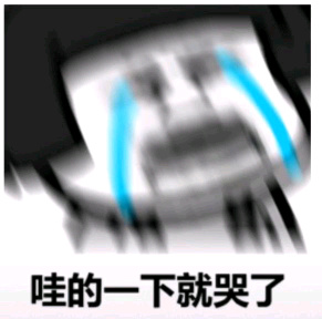 哇的一声就哭了表情包(微信哇的一下哭出声表情包图片)