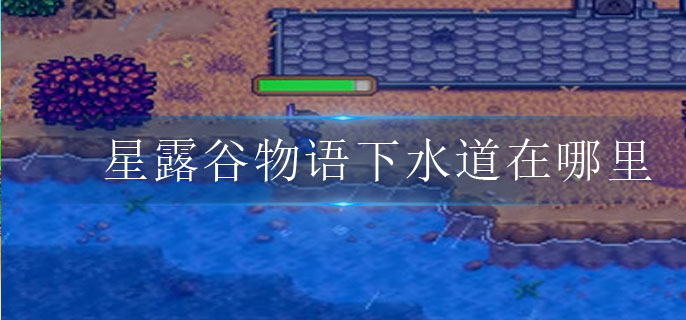 星露谷物语下水道在哪里(下水道位置介绍)