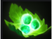 DOTA2特色英雄屠夫攻略 吃肉其实很简单