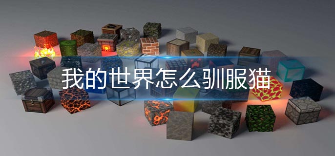 我的世界怎么驯服猫(猫驯服方法)