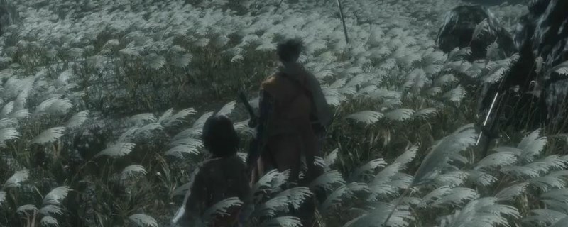 只狼水生村位置