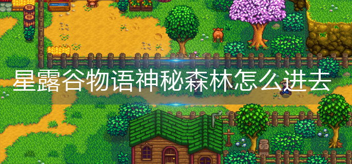 星露谷物语神秘森林怎么进去(神秘森林进入方法)