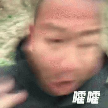 giao哥表情包大全