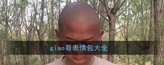 giao哥表情包大全(阿giao表情包gif动图)