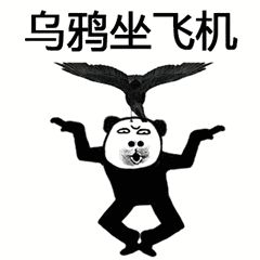 《抖音》武功秘籍大全