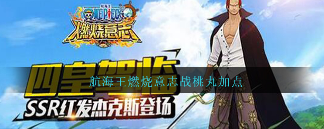 航海王燃烧意志战桃丸加点(航海王燃烧意志战桃丸怎么加点推荐)