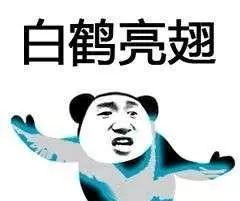 《抖音》武功秘籍大全