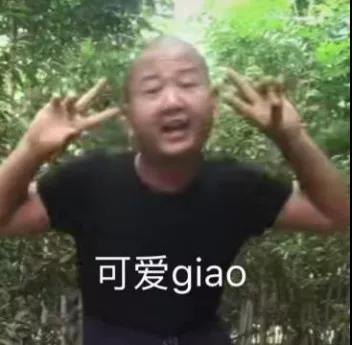 giao哥表情包大全