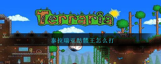 泰拉瑞亚骷髅王怎么打(泰拉瑞亚骷髅王攻略打法掉落物品)