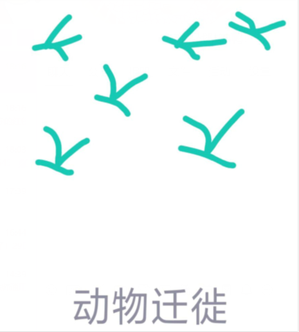 qq画图红包动物迁徙怎么画(qq画图红包动物迁徙简