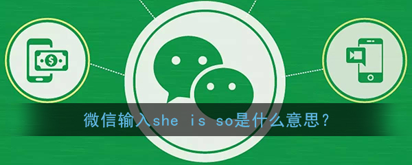 she is so是什么梗(微信输入she is so是什么意思)