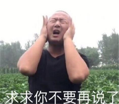 giao哥表情包大全
