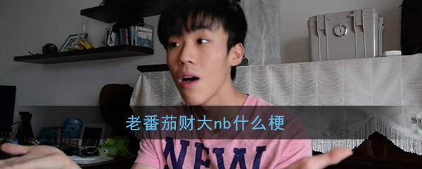 老番茄财大nb什么梗(老番茄财大nb梗含义出处介绍)