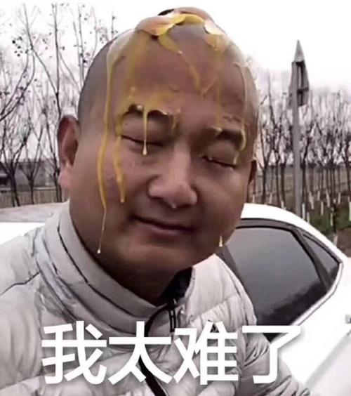 giao哥表情包大全