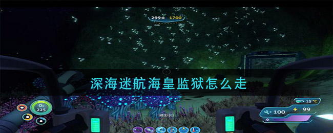 深海迷航海皇监狱怎么走(海皇监狱位置)