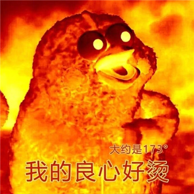 《抖音》你的良心不会痛吗表情包分享