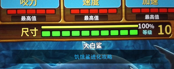 饥饿鲨进化怎么玩(饥饿鲨进化玩法攻略)