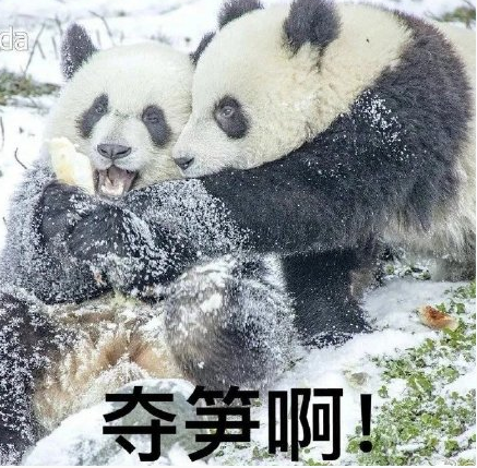 《抖音》夺笋意思介绍