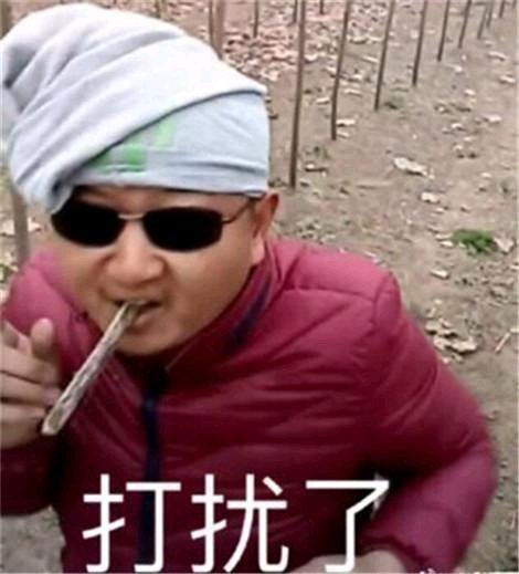 giao哥表情包大全