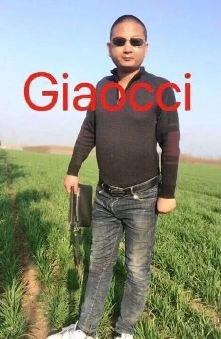 giao哥表情包大全