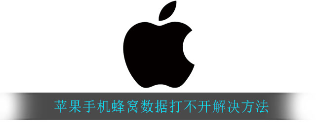 苹果手机蜂窝数据打不开(苹果手机蜂窝数据打不开解决方法)