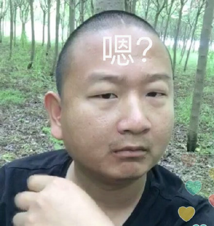 giao哥表情包大全