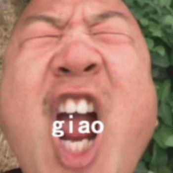 giao哥表情包大全