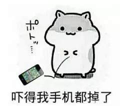 带着郭炜炜出道是什么意思？郭炜炜出道怎么回事？