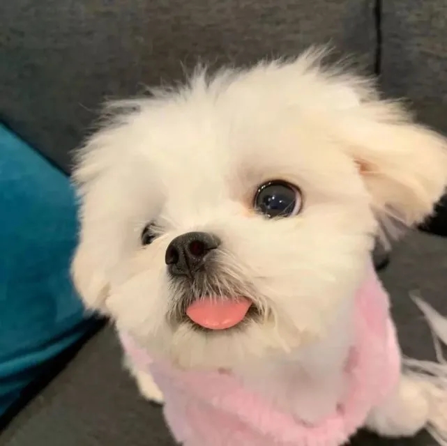 《微信》状态背景图大全