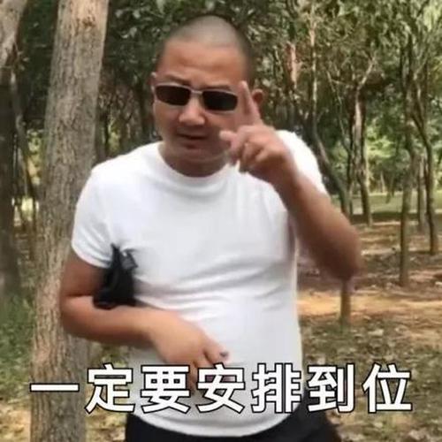 giao哥表情包大全