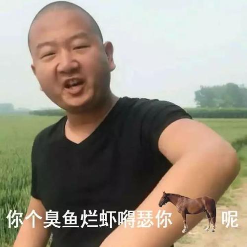 giao哥表情包大全