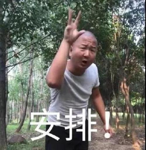 giao哥表情包大全