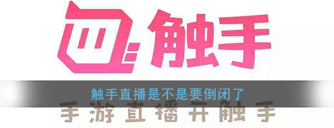 触手直播是不是要倒闭了(触手直播为什么凉了)