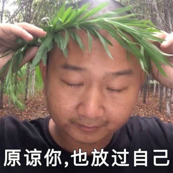 giao哥表情包大全