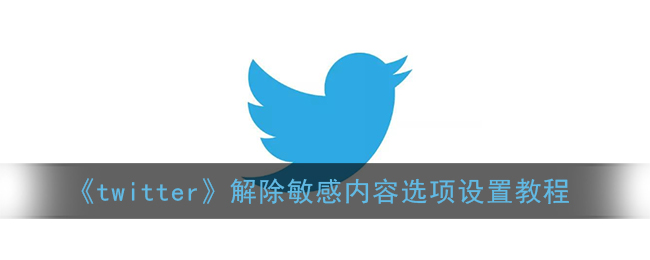 twitter怎么看敏感内容(推特解除敏感内容选项设置教程)
