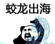 《抖音》武功秘籍大全