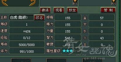如何合理搭配五行?灵兽坐骑五行攻略分享